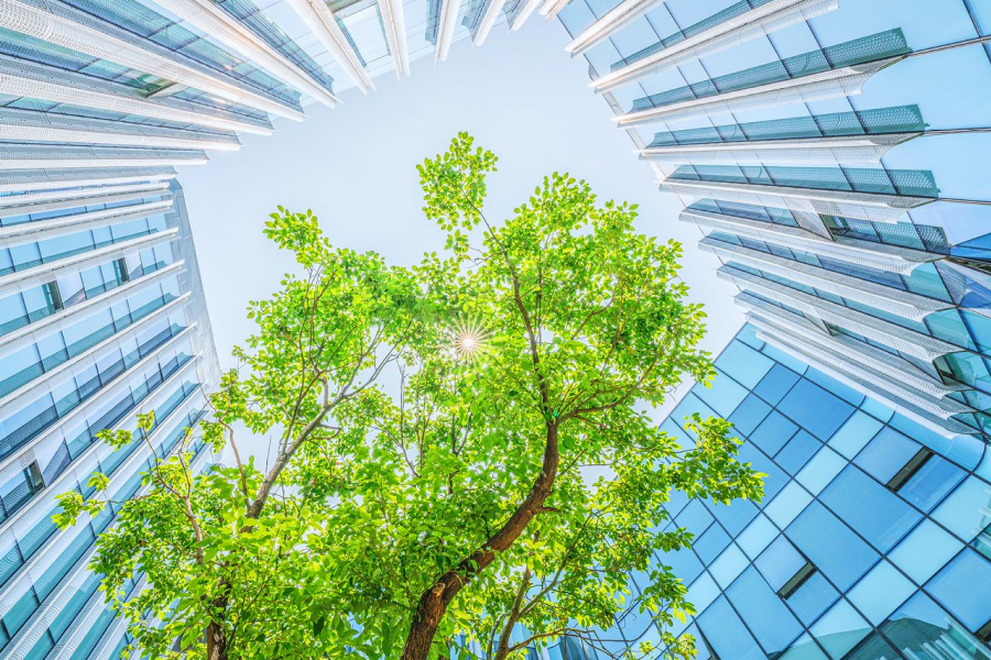 ESG Matrix ESG Sustainability Sustainability 101: Overview for Beginners