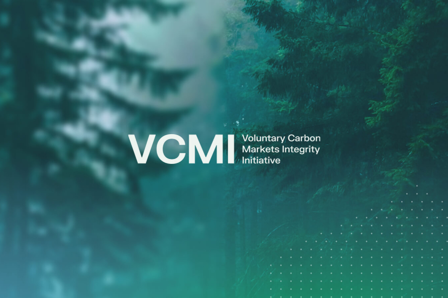 ESG Matrix ESG Sustainability Accelerating Global Net Zero: VCMI's Revolutionary Claims Code Guidance